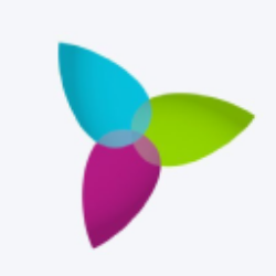 BlackRock Capital Investment 