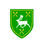 Hennessy Capital Investment