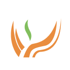 Lixiang Education Holding